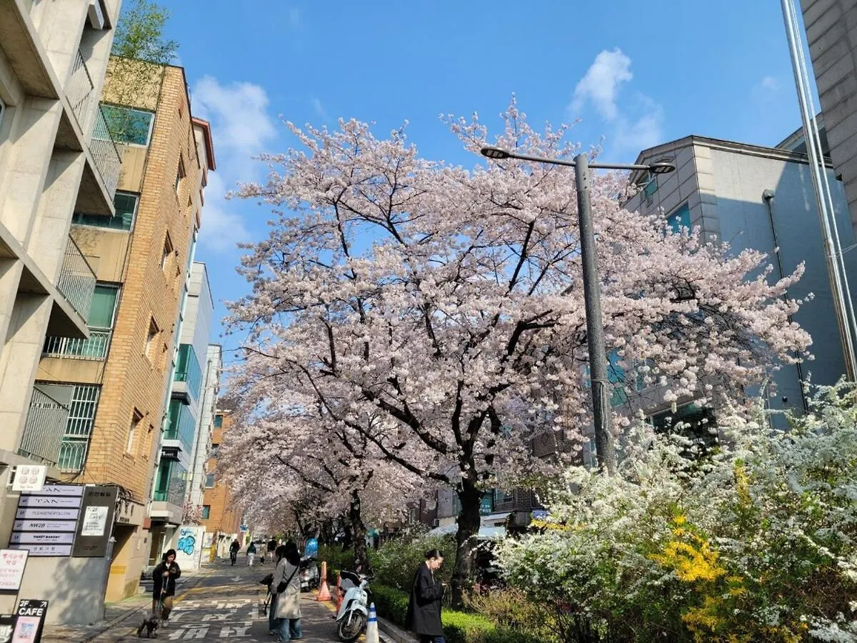 Апартаменты H House Hongdae Сеул