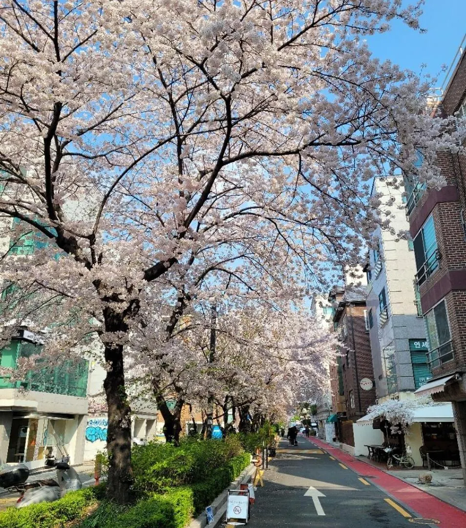 Апартаменты H House Hongdae Сеул